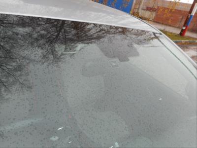 Лобовое стекло SUBARU SUBARU XV (2018 г.в.) общий вид фото Лобовое стекло SUBARU SUBARU XV (2018 г.в.) общий вид фото