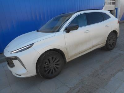 Лобовое стекло FORTHING T5 EVO кроссовер (2024 г.в. г.в.) общий вид Лобовое стекло FORTHING T5 EVO кроссовер (2024 г.в. г.в.) общий вид