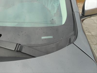 Лобовое стекло SUBARU OUTBACK LEGASY (2020 г.в. г.в.) общий вид 